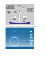 Konspekts 'Ledus kristālu radītās optiskās parādības atmosfērā', 3.