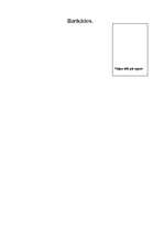 Eseja 'Atmiņas par barikādēm', 1.