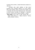 Referāts 'Daiļliteratūras avotu izmantošana vēstures stundās pamatskolā', 6.