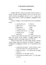 Referāts 'Daiļliteratūras avotu izmantošana vēstures stundās pamatskolā', 14.