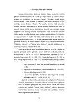 Referāts 'Daiļliteratūras avotu izmantošana vēstures stundās pamatskolā', 30.