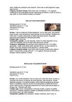 Referāts 'Latvijas sikspārņi', 9.