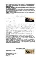 Referāts 'Latvijas sikspārņi', 12.