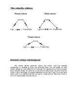 Referāts 'M.Zīverta varoņdrāma "Tīreļpurvs"', 4.