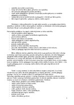 Eseja 'Sākumskolas skolotāja sadarbība ar vecākiem', 3.