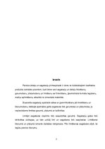 Konspekts 'Sagatavju pirmapstrāde. Pirmā daļa', 3.