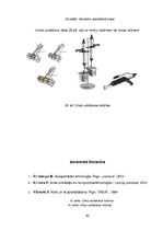 Konspekts 'Sagatavju pirmapstrāde. Pirmā daļa', 20.