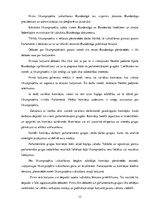 Referāts 'Valsts varas dalīšana Vācijas Federatīvajā Republikā', 13.