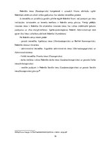 Referāts 'Valsts varas dalīšana Vācijas Federatīvajā Republikā', 16.