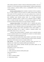 Diplomdarbs 'Uzņēmuma grāmatvedības pārskats kā finansiālas analīzes pamats', 4.