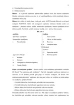 Diplomdarbs 'Uzņēmuma grāmatvedības pārskats kā finansiālas analīzes pamats', 5.