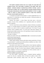 Diplomdarbs 'Uzņēmuma grāmatvedības pārskats kā finansiālas analīzes pamats', 7.