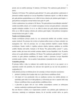 Diplomdarbs 'Uzņēmuma grāmatvedības pārskats kā finansiālas analīzes pamats', 11.