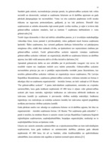 Diplomdarbs 'Uzņēmuma grāmatvedības pārskats kā finansiālas analīzes pamats', 14.