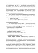 Diplomdarbs 'Uzņēmuma grāmatvedības pārskats kā finansiālas analīzes pamats', 19.