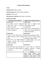 Prakses atskaite 'INTEGRĒTO MĀCĪBU PRAKSE  SĀKUMSKOLĀ', 5.