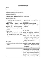 Prakses atskaite 'INTEGRĒTO MĀCĪBU PRAKSE  SĀKUMSKOLĀ', 8.