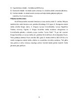 Referāts 'Izlīgums kā iespēja realizēt taisnīgumu kriminālprocesā', 6.