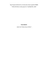 Eseja 'Prezentācija. Kā sagatavoties? Cik ilgai jābūt prezentācijai, kādi soļi jāievēro', 1.