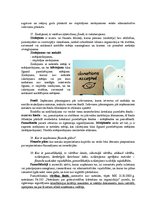 Konspekts 'Finanšu analīze', 9.