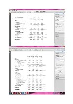 Konspekts 'Finanšu analīze', 22.