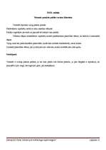 Konspekts 'Džefrijs Dž.Fokss "Kā kļūt par mārketinga superzvaigzni"', 12.