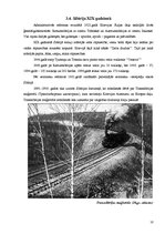 Referāts 'Sibīrija (Sibīrijas latvieši; Sibīrijas tautu pasakas un parunas)', 10.