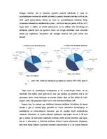 Referāts 'Reklāma internetā un tās attīstības perspektīvas', 5.