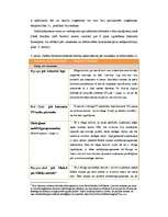 Referāts 'Reklāma internetā un tās attīstības perspektīvas', 6.