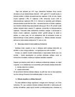 Referāts 'Reklāma internetā un tās attīstības perspektīvas', 9.