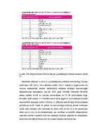 Referāts 'Reklāma internetā un tās attīstības perspektīvas', 20.