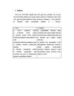 Referāts 'Reklāma internetā un tās attīstības perspektīvas', 25.