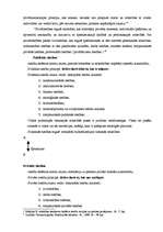 Referāts 'Tiesību funkcijas', 5.