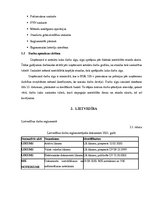 Prakses atskaite 'Pusgada prakses atskaite', 9.