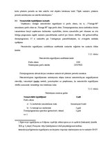 Prakses atskaite 'Pusgada prakses atskaite', 11.