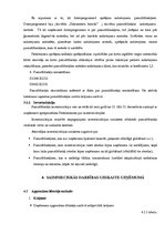 Prakses atskaite 'Pusgada prakses atskaite', 15.