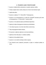 Prakses atskaite 'Pusgada prakses atskaite', 32.