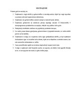 Prakses atskaite 'Pusgada prakses atskaite', 33.