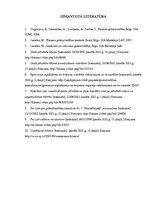 Prakses atskaite 'Pusgada prakses atskaite', 35.