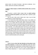 Prakses atskaite 'Diplomprakses atskaite', 11.