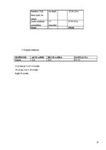 Prakses atskaite 'Diplomprakses atskaite', 19.