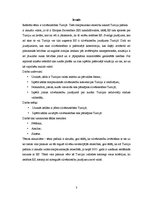 Referāts 'Cilvēktiesības Turcijā', 3.