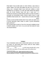 Referāts 'Cilvēktiesības Turcijā', 12.