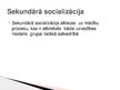 Prezentācija 'Socializācija', 11.
