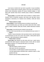 Referāts 'Dzimumu līdztiesības problēmas Latvijas darba tirgū', 3.