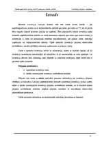 Referāts 'Investīciju projektu novērtēšana', 4.