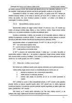 Referāts 'Investīciju projektu novērtēšana', 11.