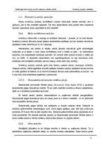 Referāts 'Investīciju projektu novērtēšana', 12.