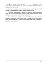 Referāts 'Investīciju projektu novērtēšana', 13.