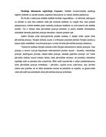 Diplomdarbs 'Labas pārvaldības principa piemērošana Latvijā', 40.